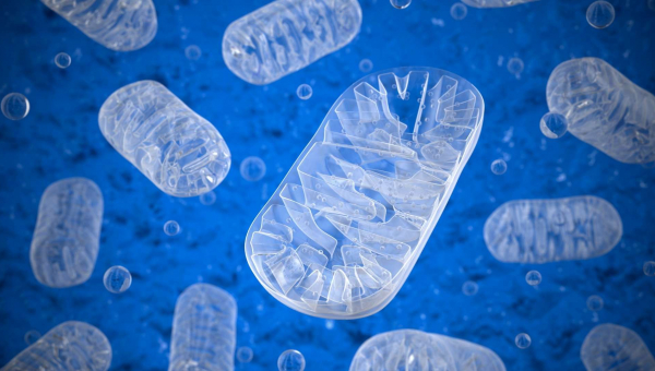 Izloženost toksičnom okolišu i zdravlje | 2. dio