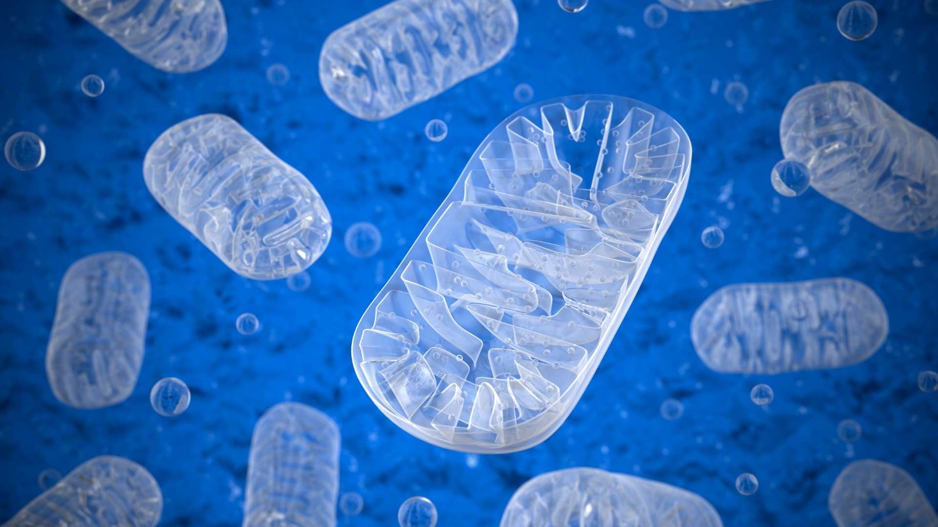 Mitochondria nutrimed